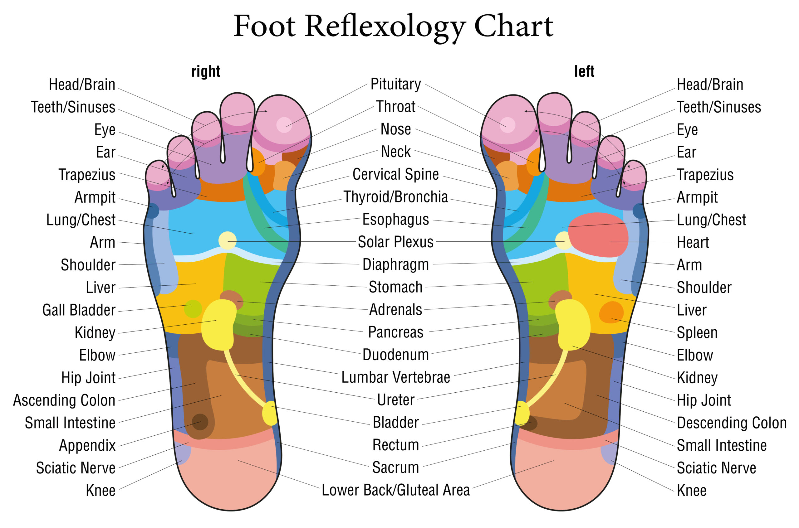 Reflexology at Work